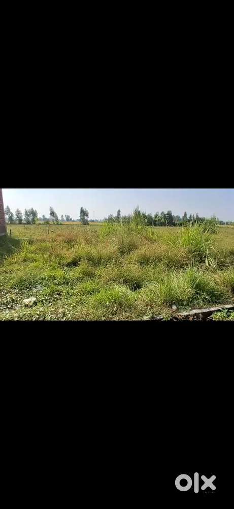Plots and agriculture land are available for sale