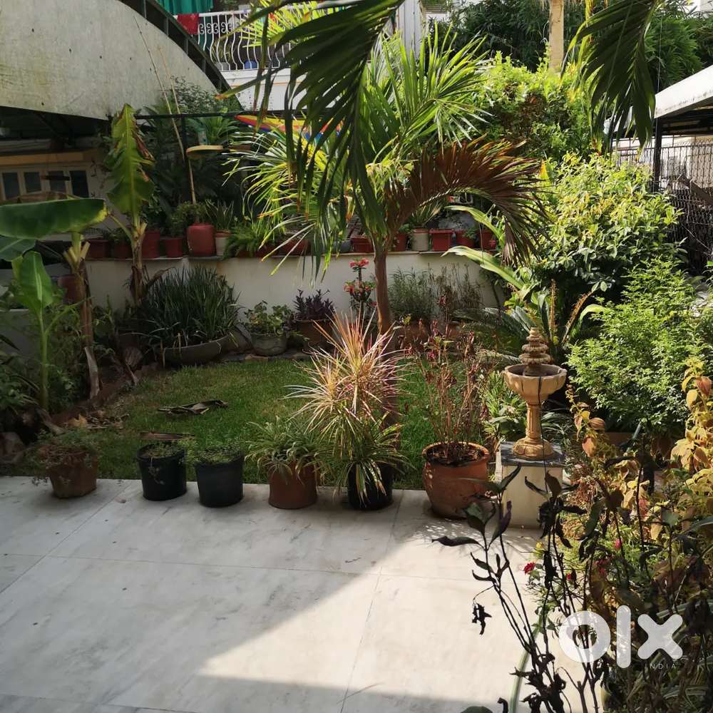 P G for boys/working man