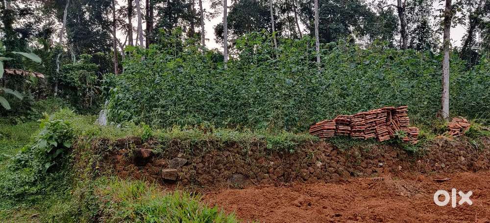 14 cent plot 150 mtr from main road