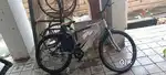 Brand new condition
