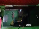 One plus Led Tv 32 inch