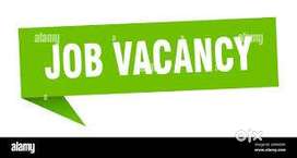 FRESHERS JOB