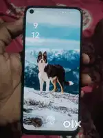Oppo f21 pro 4g Phone  fully Condition hai koi bhi dikaat nhi hai