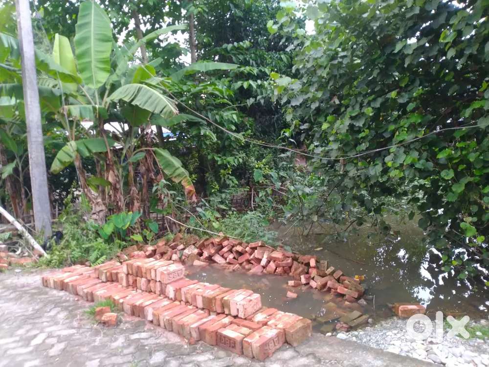 Land for sale - 12 lacs(1.7 Katha, Myadi patta)
