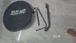 Sun direct dish