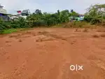 premium houseplot near pukkattupady