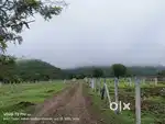 Farm house land
