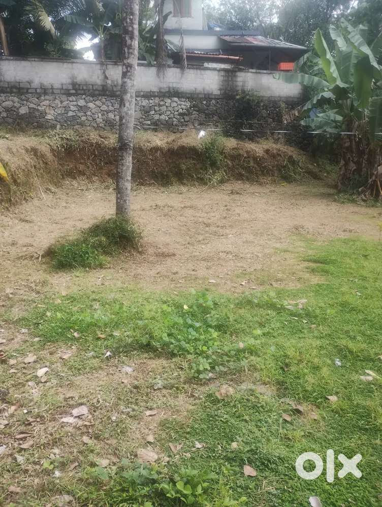 5 cent plot for sale in kothamangalam