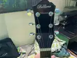 Belltone guitar with a gig master bag and new installed didario string