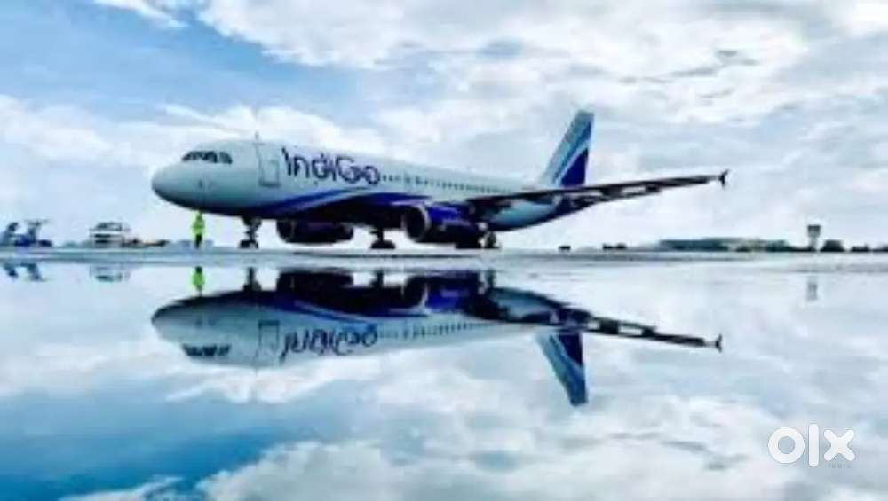350+ seats Hiring Male Female Candidates in INDIGO AIRLINES