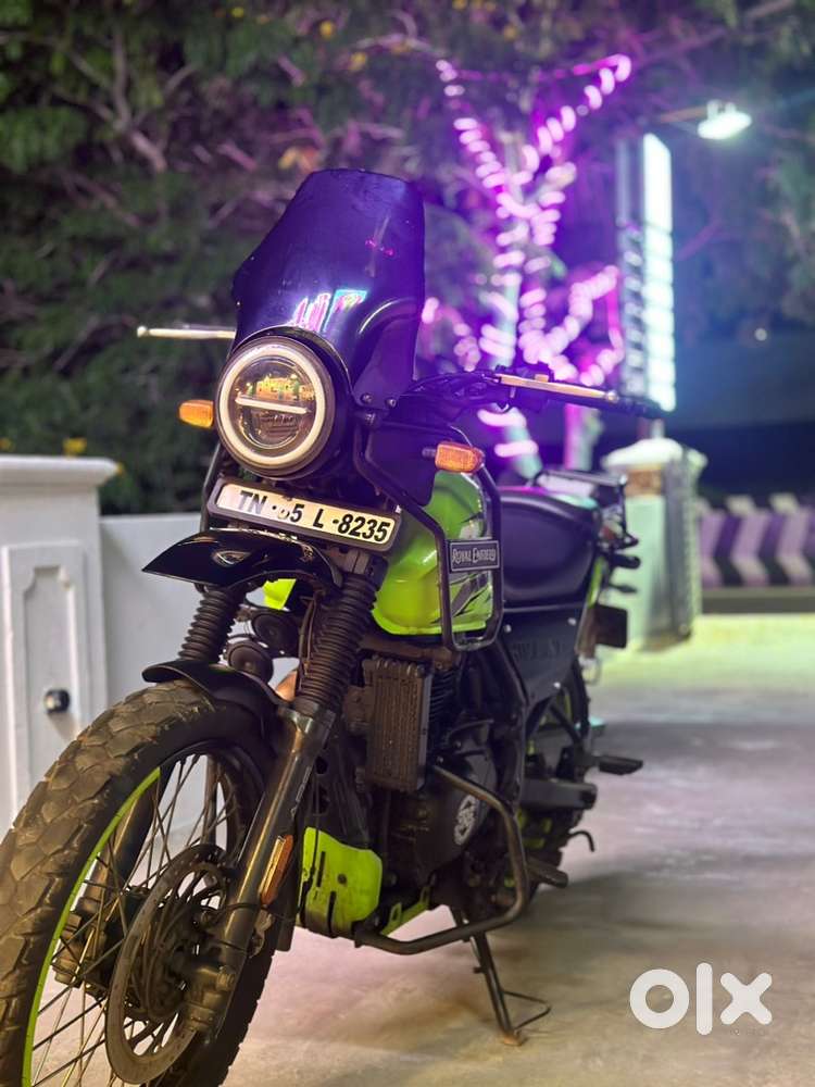 Himalayan - modified