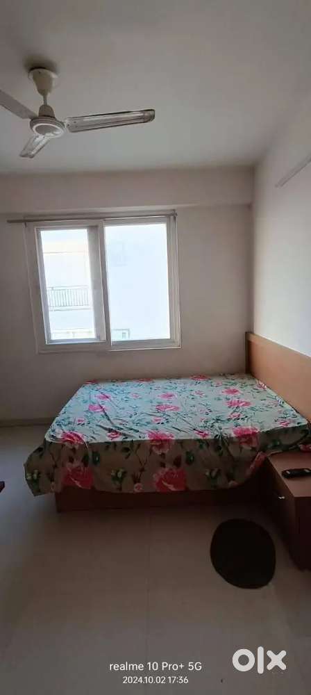 For रेंट 1 BHK flats vaishali nagar