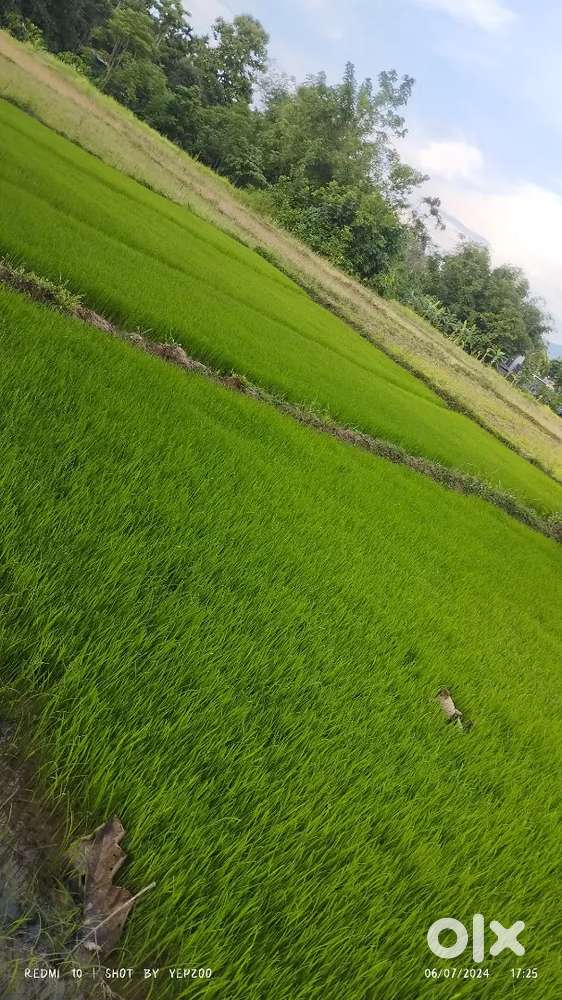 Sqre ft ₹ 33 on discount ₹- 4000000 (fourty lakhs)