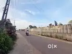 50 Cent Commercial Land for Sale – Near Koonammavu, Varapuzha