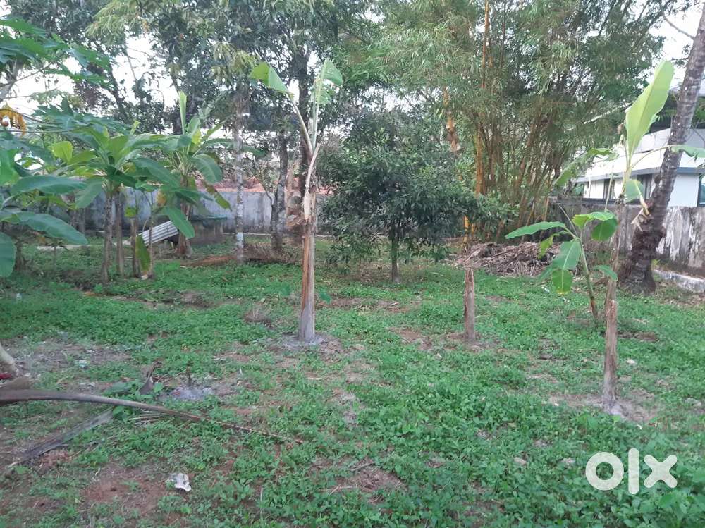 7 sent plot for sale