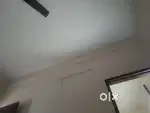 Room rent for girl