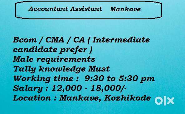 Accountant Assistant - Mankave
