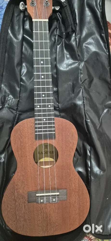 Ukulele with bag