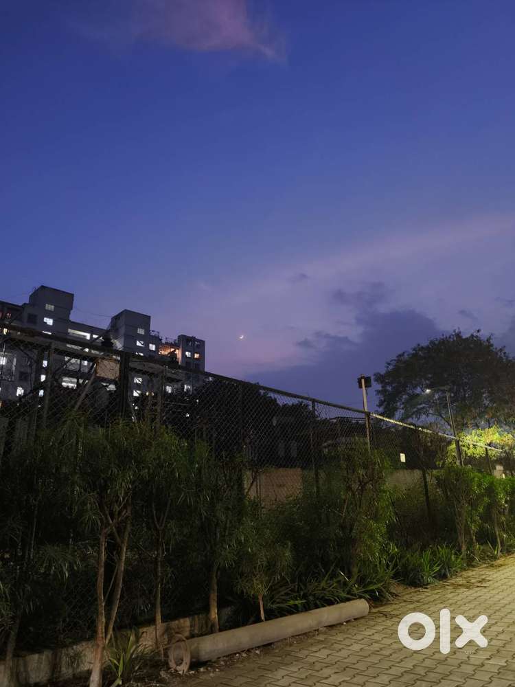 Data entry, calling and Claim process job