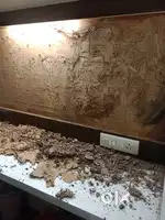 We are provide all types of pest control services in all over Pune