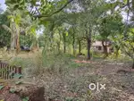 PLOT FOR SALE