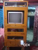 Shokesh for TV