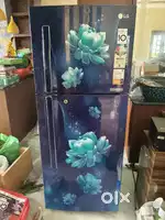 LG double door fridge