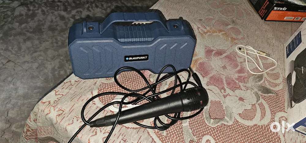 Blaupunkt Bluetooth speaker with karaoke