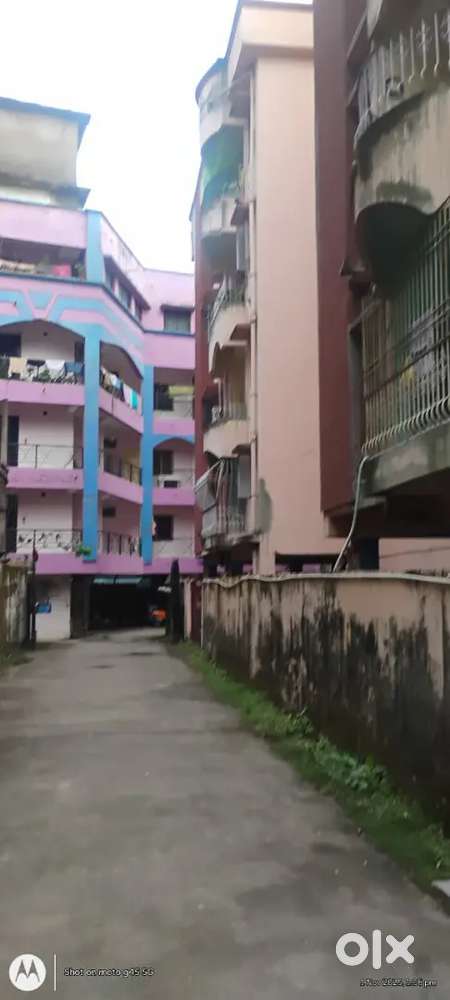 Sushila Enclave is best for sell in flat