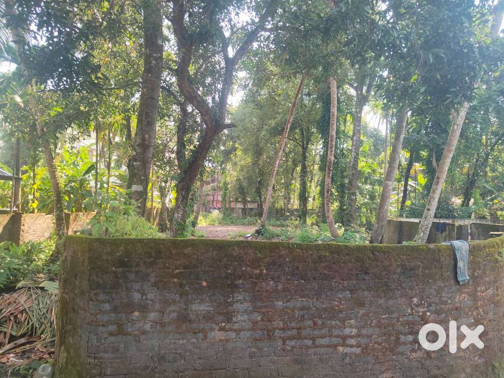 House plot in Aroor prime centre, 15 cents House plot near National Hi