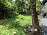 18 cent water front plot for sale in panangad