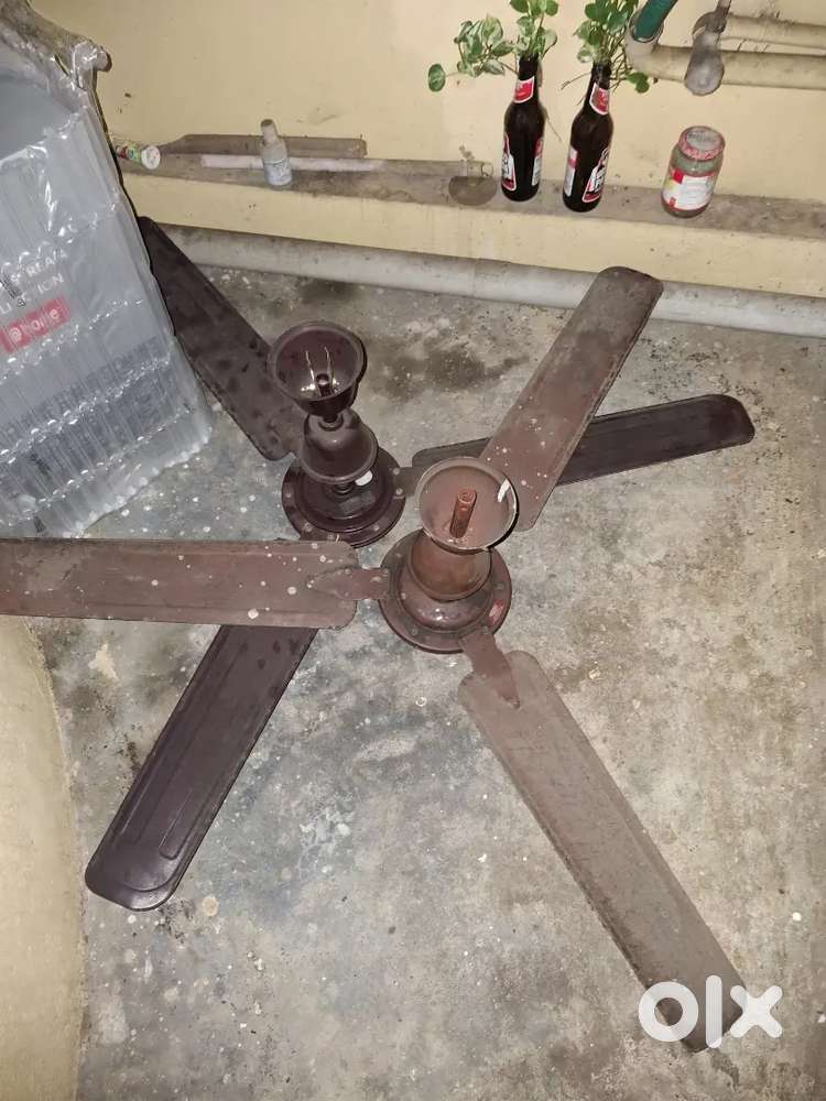 Ceiling fans