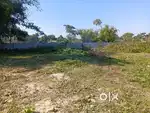 Land for Sale Bihpuria