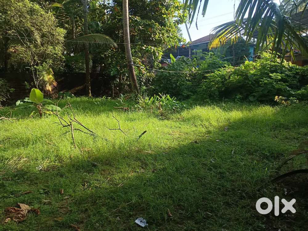 600 MTR from varkala cliff