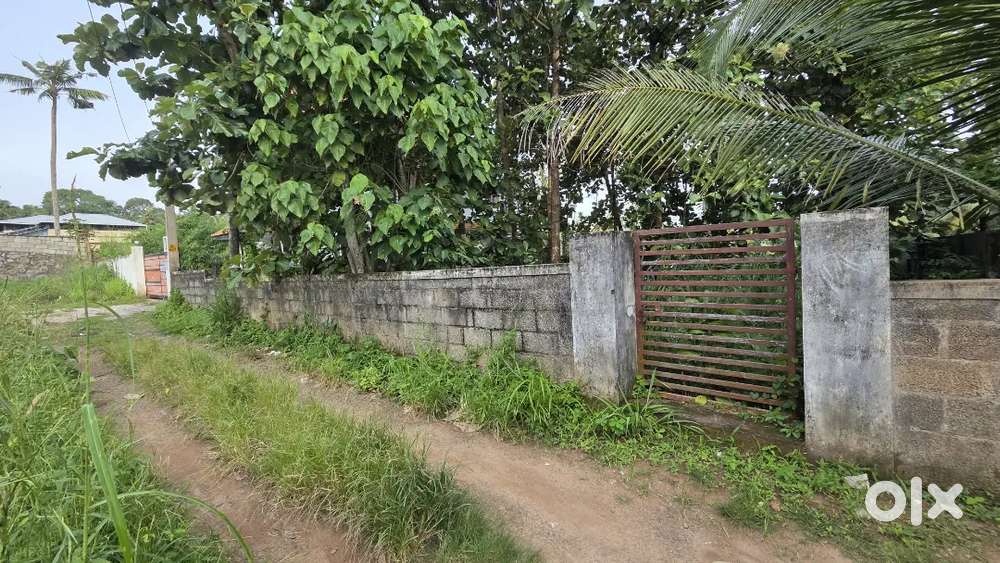 Stekarym 2km main road near plot busroot 50 mtre