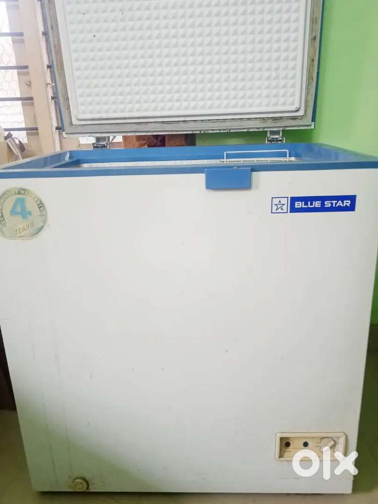 Blue Star CF4-175DSW 141 Liter Deep Freezer