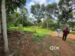 1.5 Acre plot Eanikkara Vazhayila Peroorkada Thiruvananthapuram