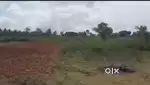 2 acres agricultural land for sale with Nakasha road approach
