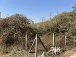 This plot is for sale..