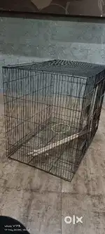 Cage for sale