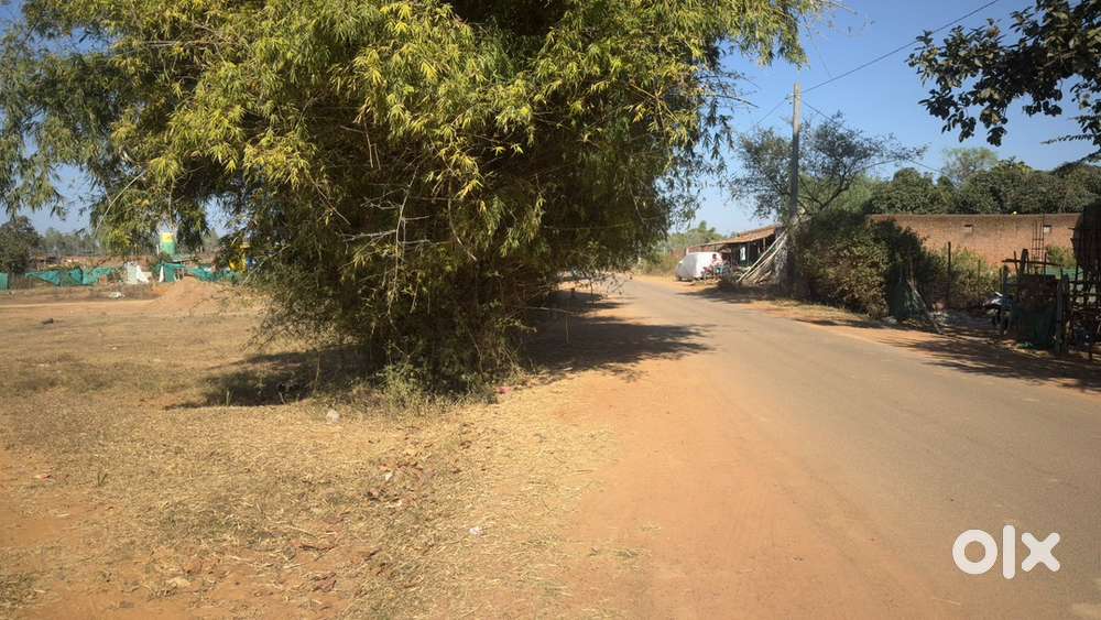 20 CENT / DECIMAL GHARABARI PLOT