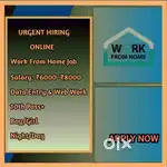 Work From Home Job – Data Entry/Web Work - ADESTRA TECHNOLOGY  S24