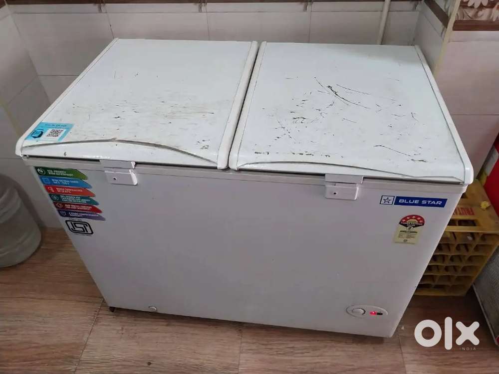 Blue star 300 Ltr Freezer