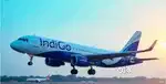 Hiring for ground staff job