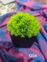 Artificial plant decor