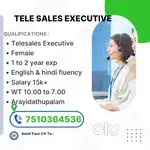 Hiring  TELE SALES EXECUTIVE