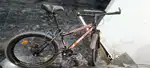 Avon brand gearless cycle