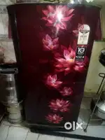 Selling a Fridge