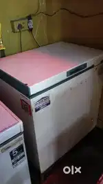 Blue Star 165 L Deep Freezer