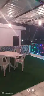 New grass for terrace lobby garden
